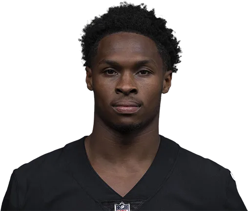 Darnell Mooney headshot